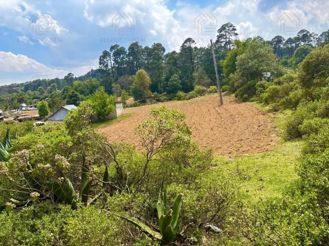 Terreno Campestre en VENTA en Omitlán de Juárez, Hgo