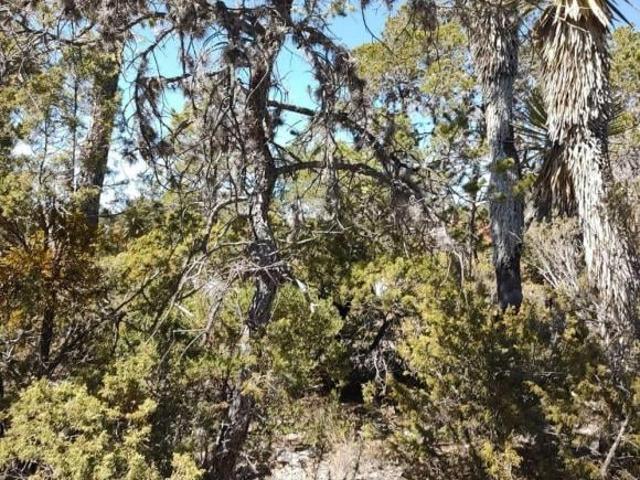 Terreno Campestre en VENTA en San Antonio de las Alazanas
