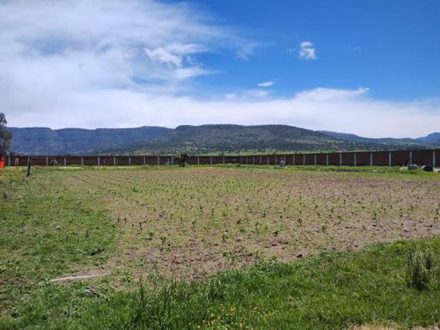 TERRENO CAMPESTRE EN VENTA FRACCIONAMIENTO HABITACIONAL ZONA TLAXCALA TLAXCO