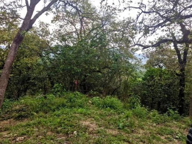 TERRENO CAMPESTRE EN VENTA SANTIAGO N.L