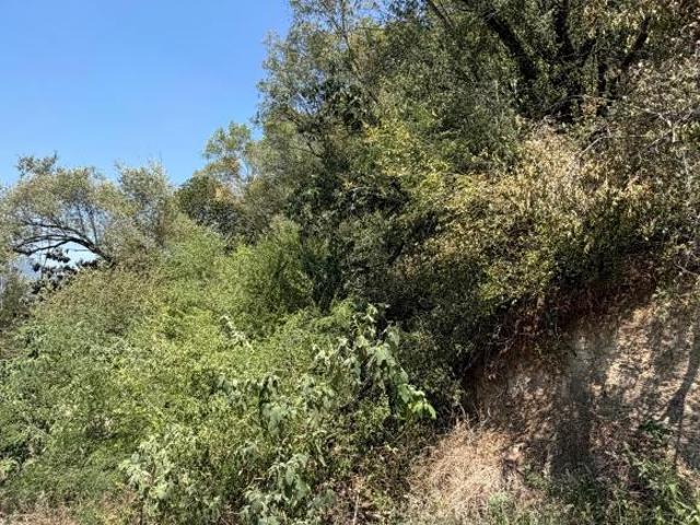 TERRENO CAMPESTRE EN ALLENDE