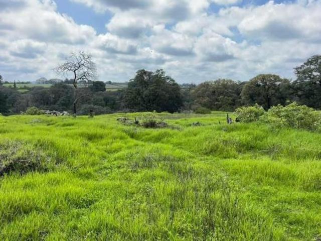 Terreno campestre en Amealco La Isla, perfecto para proyecto ecoturístico o cabañas