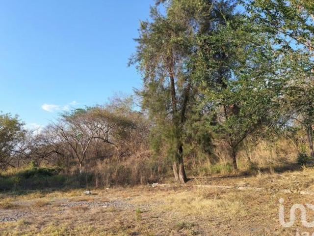 Terreno Campestre en Comala