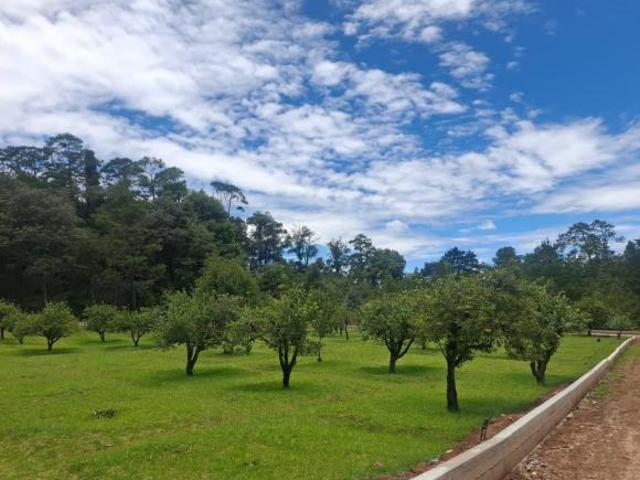 TERRENO CAMPESTRE EN PUEBLO MÁGICO DE ACAXOCHITLAN