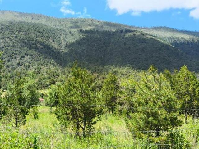 Terreno Campestre en Santa Rita Arteaga