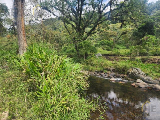 Terreno campestre en San Marcos de Le?n, Xico, Veracruz