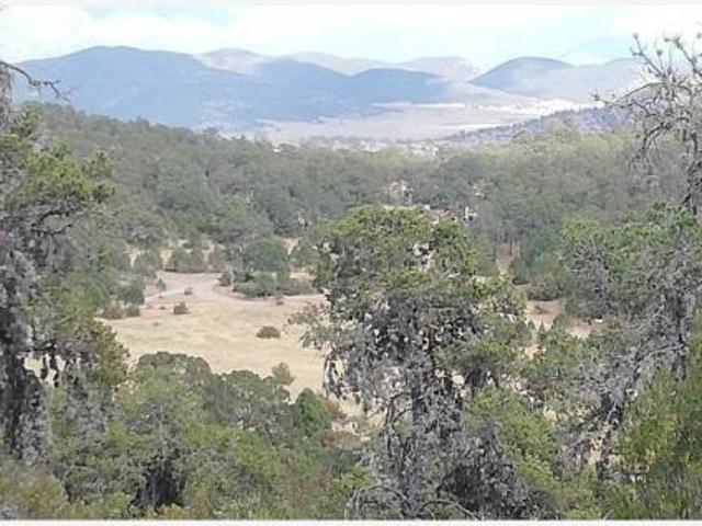 Terreno Campestre en Sierra Escondida, Arteaga, tu Bosque Privado 3,640 m²