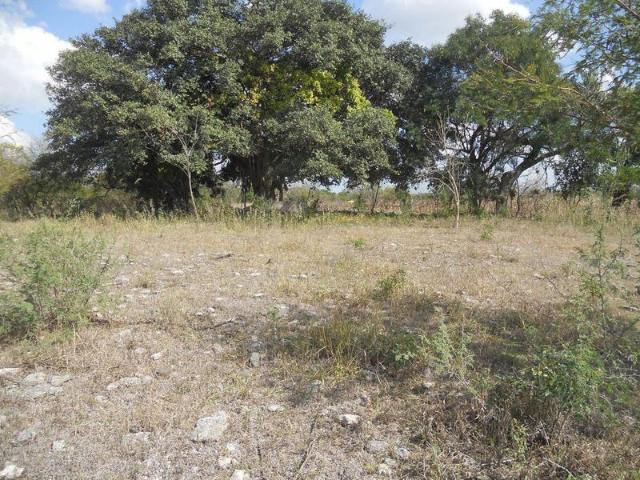 TERRENO CAMPESTRE PREVENTA