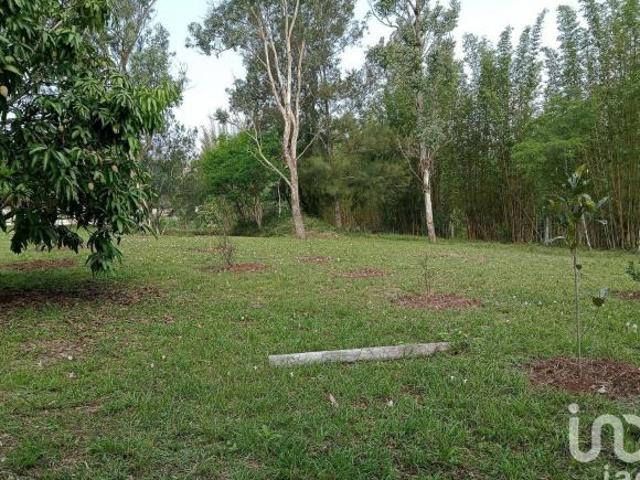 Terreno campestre residencial a la venta, en Tres Pasos, Veracruz