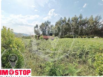 TERRENO CAMPIA VISEU