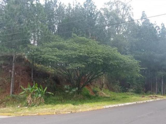 TERRENO CAMPO BOM