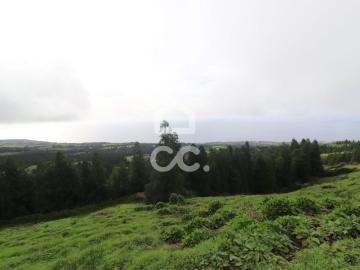 Terreno, Candelária, Ponta Delgada | BPI Expresso Imobiliário