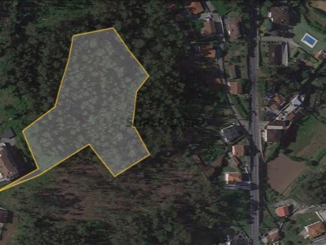 TERRENO CANEDO
