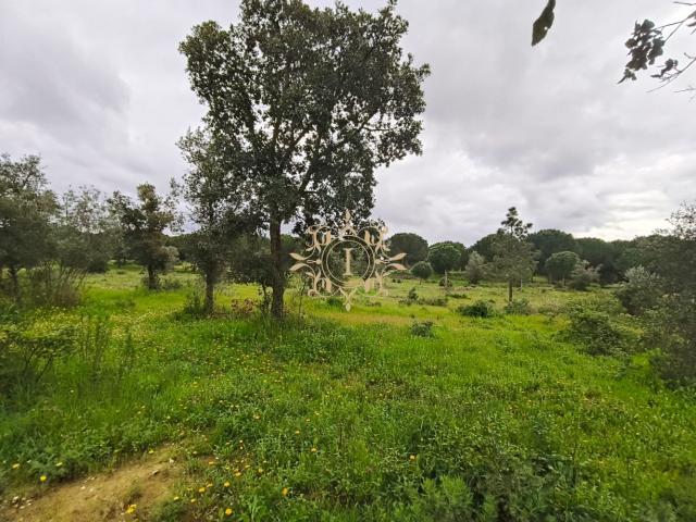 TERRENO CANHA