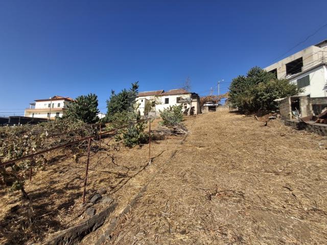 Terreno Canhas