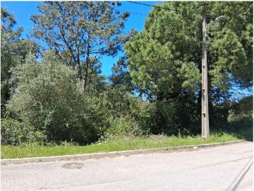 Rua Manuel Rodrigues Lapa, Charneca da Cotovia, Castelo, Sesimbra