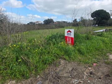 Charneca da Cotovia, Castelo, Sesimbra