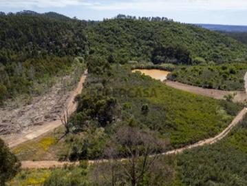 Terreno Carrascalinho