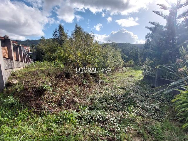 Terreno | Carrazedo do Vouga