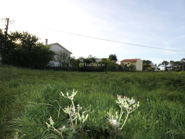 Terreno Carreço Viana do Castelo