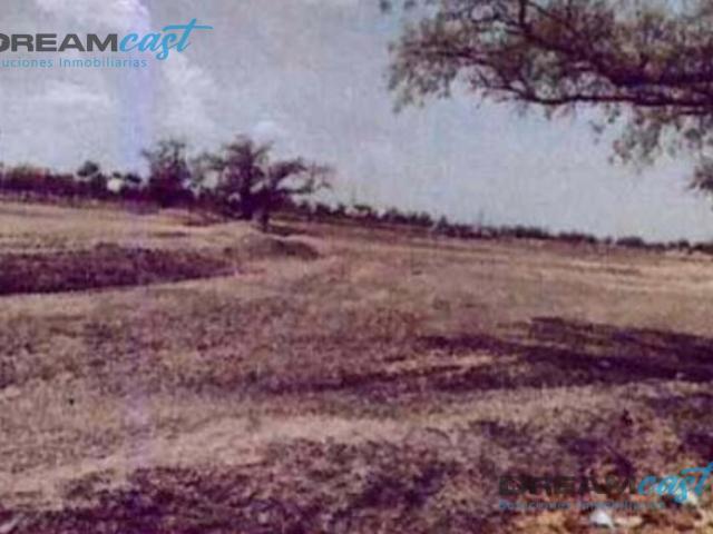 Terreno Celaya