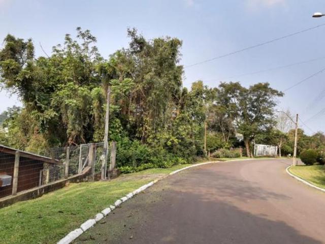 Terreno central