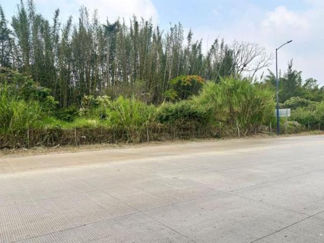 Terreno Central de Abastos