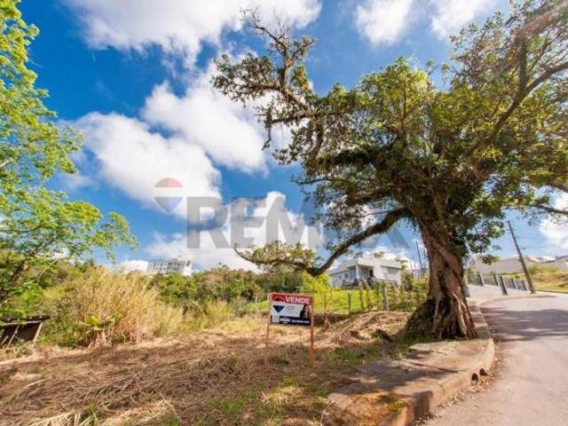 Terreno Central e Tranquilo em Pareci Novo RS