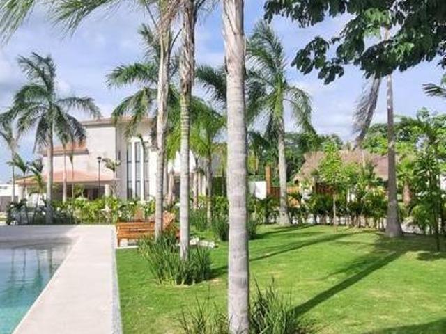 Terreno Centro