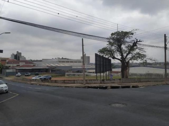 Terreno Centro
