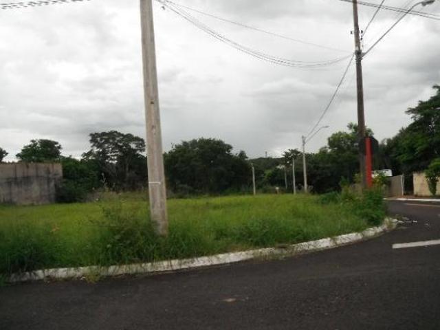 Terreno Centro
