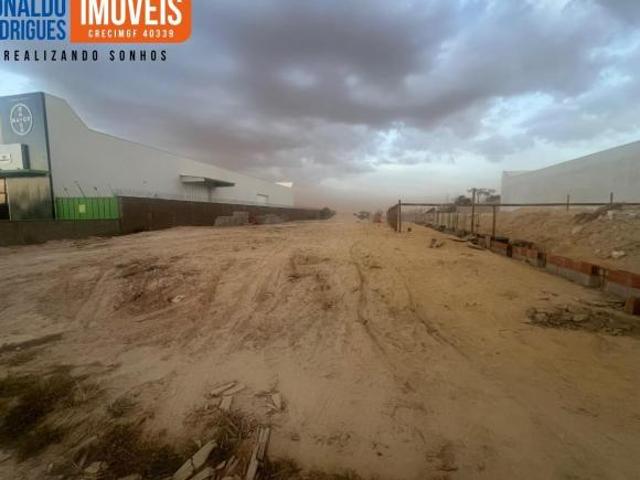 Terreno Centro