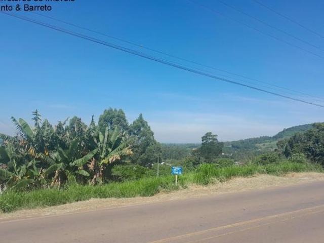 Terreno Centro