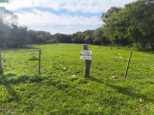 Terreno, Centro, Tapes, RS
