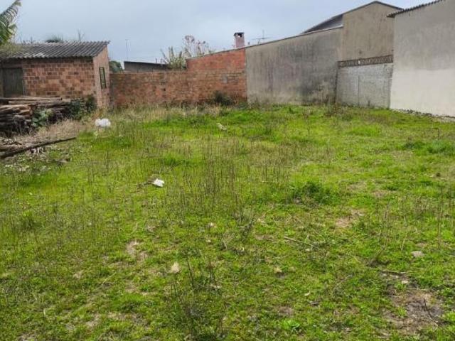 Terreno, Centro, Tapes, RS