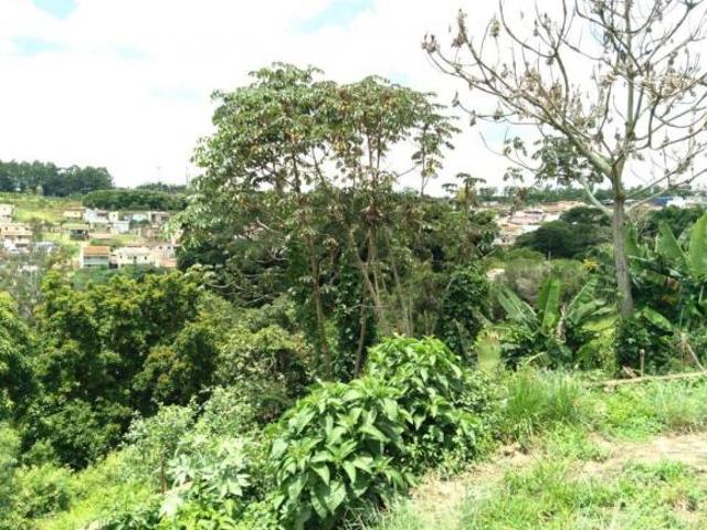Terreno, Centro, Alterosa, MG