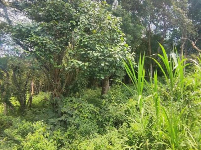 Terreno, Centro Arujá, Arujá, SP
