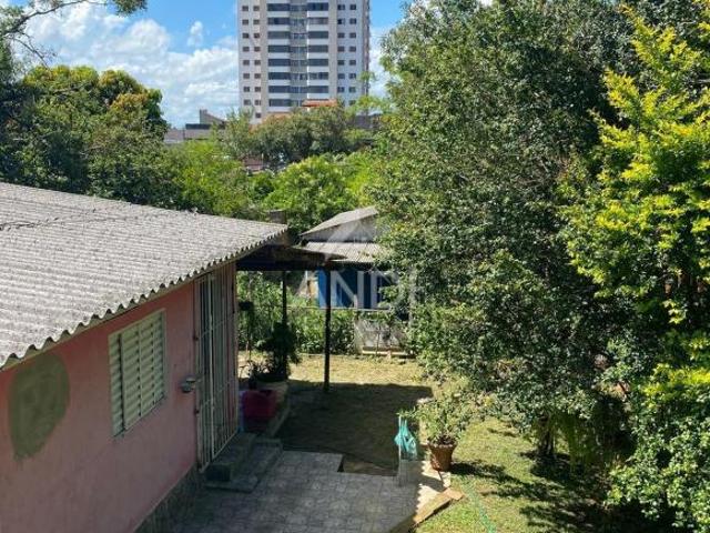 Terreno Centro
