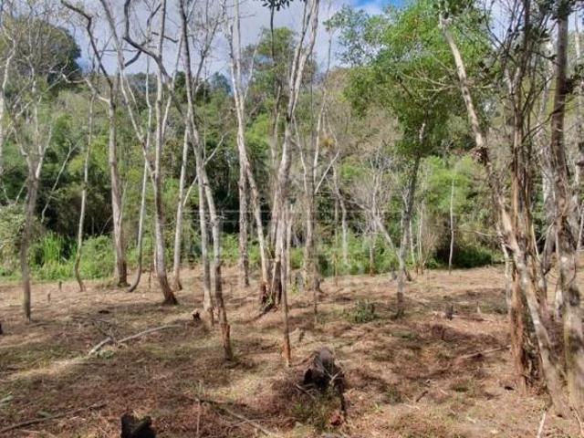 Terreno, Centro, Juquitiba, SP