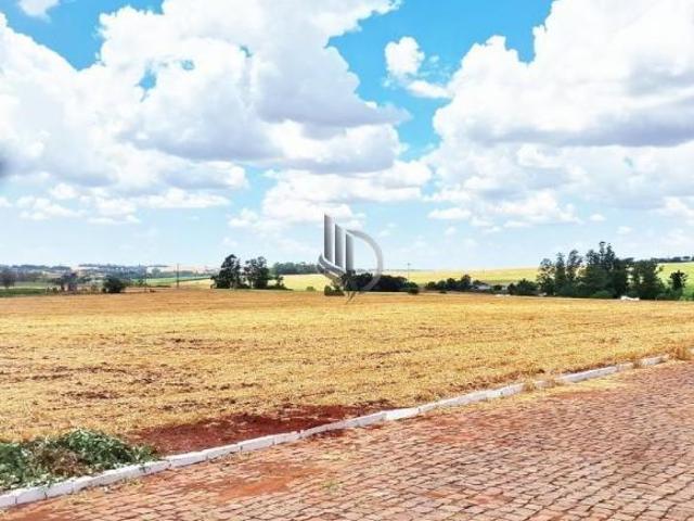 Terreno, Centro, Selbach, RS