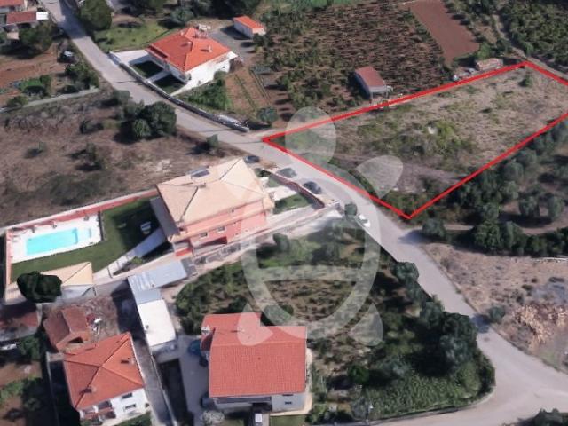 Terreno Cernache