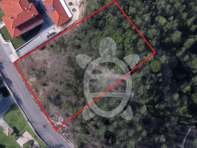 Terreno em Cernache: um refúgio de tranquilidade com 2200m² e vistas inspiradoras