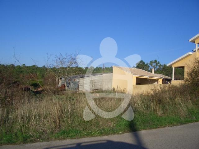 Terreno Cernache