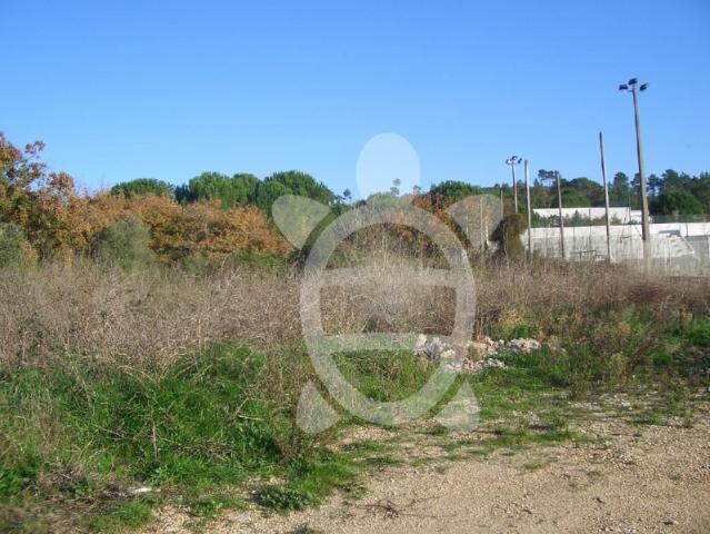 Terreno Cernache