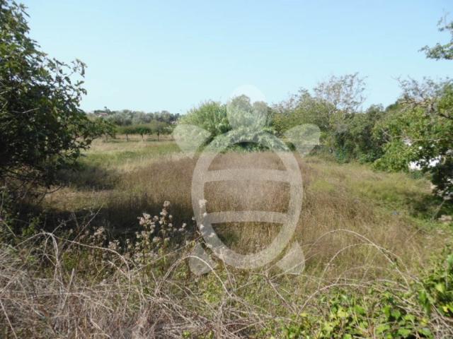 Terreno Cernache