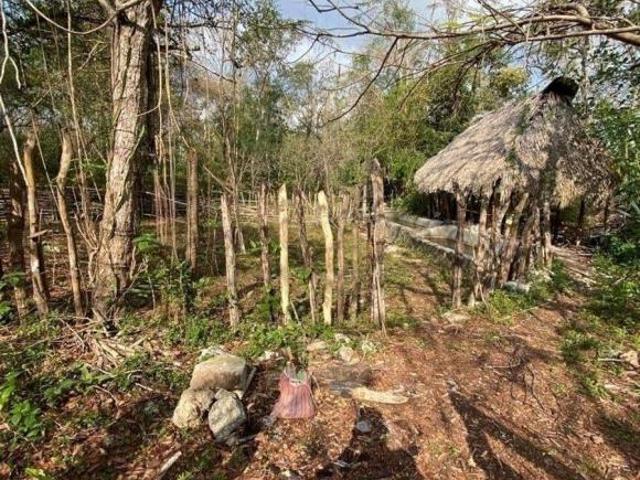 TERRENO CERCA DE MÉRIDA Y DE CHICHEN ITZA PROPIEDAD PRIVADA SOBRE CARRETERA