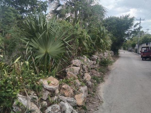 TERRENO CERCA DE LA PLAYA DE TELCHAC Y CERCA DE MÉRIDA EN DZEMUL YUCATÁN