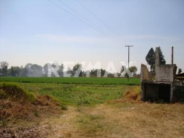 Terreno cerca de San Martín Texmelucan