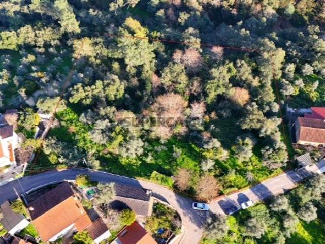 Terreno | Chão do Bispo | 4990 m2