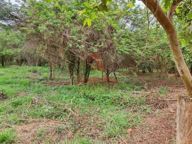 Terreno / Chácara Financiada Direto com o Proprietário no Bairro Santa Cruz, em Mateus Leme | JUATUB